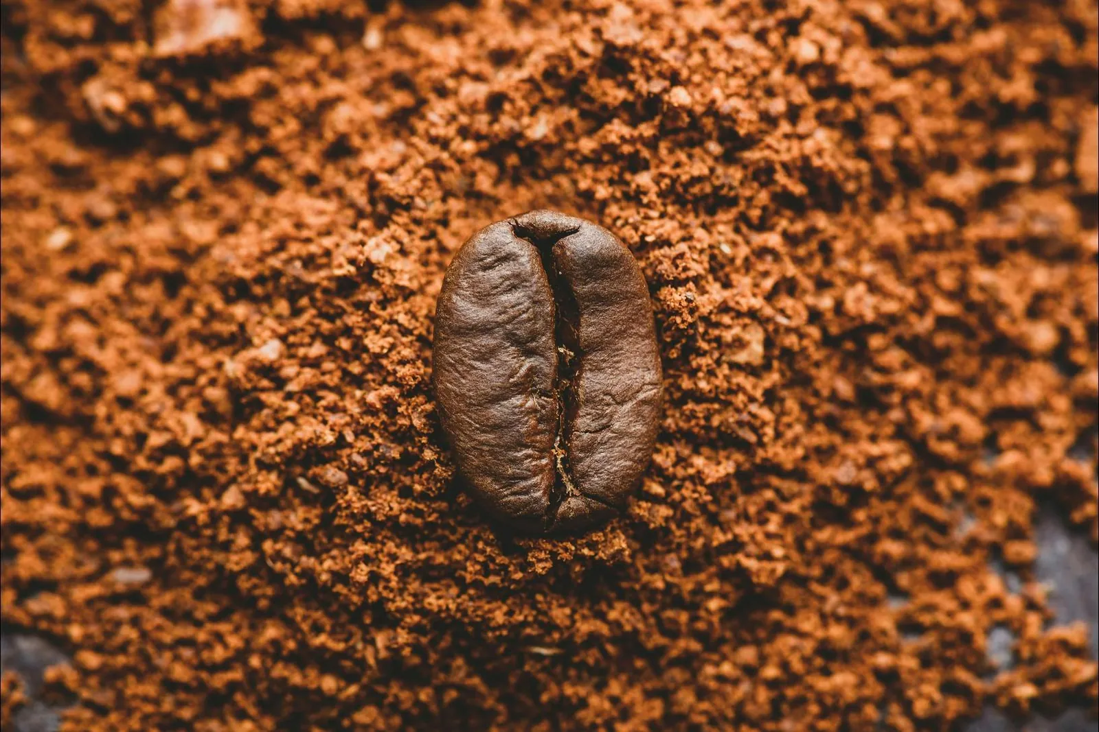 Burr coffee grinder beside a blender cup of uneven grounds in a kitchen