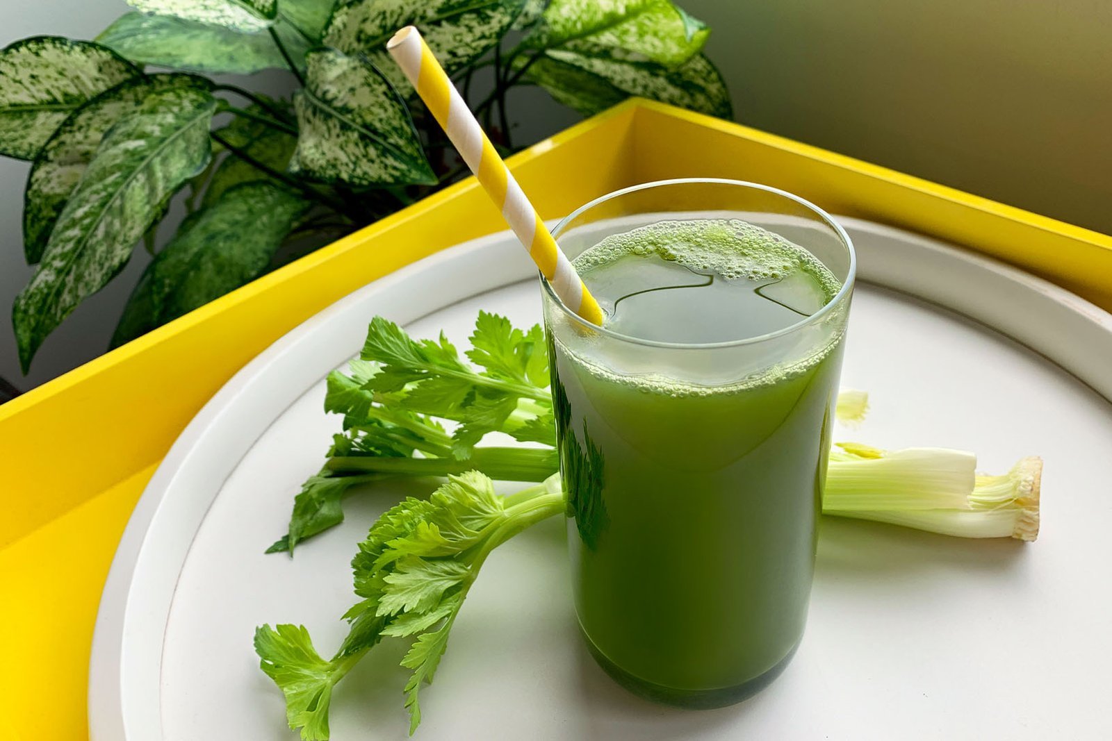 Chopped celery and lemon in a bullet blender cup on a counter